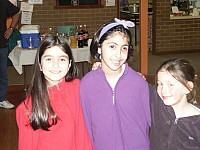 Click to enlarge (74576 bytes)